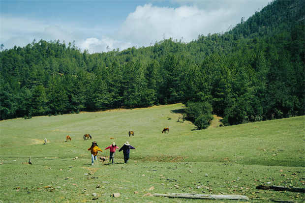 云南旅游,云南旅行社,云南團(tuán)建公司,云南策劃公司,云南會(huì)議會(huì)展,云南旅游地接,怒江旅游,怒江旅行社,怒江團(tuán)建公司,怒江策劃公司：“被羅古箐的山野擁抱、滌凈，再神清氣爽地回去”